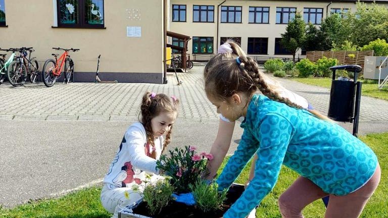 DZ_19_2024.jpg